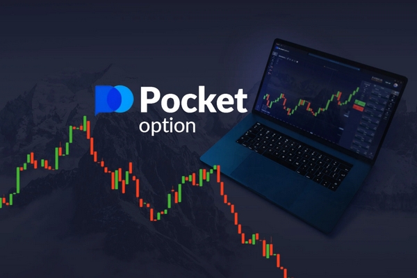 Everything You Need to Know About Account Pocket Option